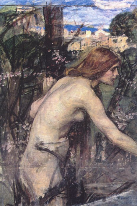 Woman Picking Flowers